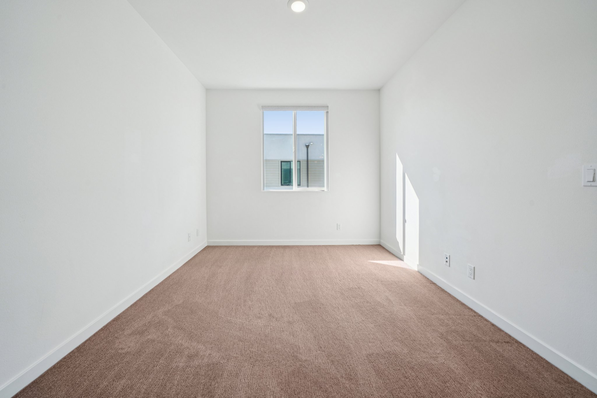 Luminate Dr-S0912-031.jpg