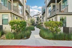 Luminate Dr-S0912-001.jpg