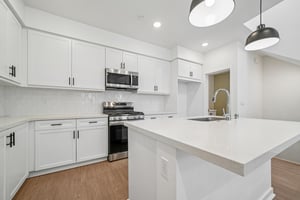 Luminate Dr-S0912-009.jpg