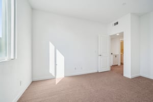 Luminate Dr-S0912-033.jpg