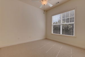  Photo 81