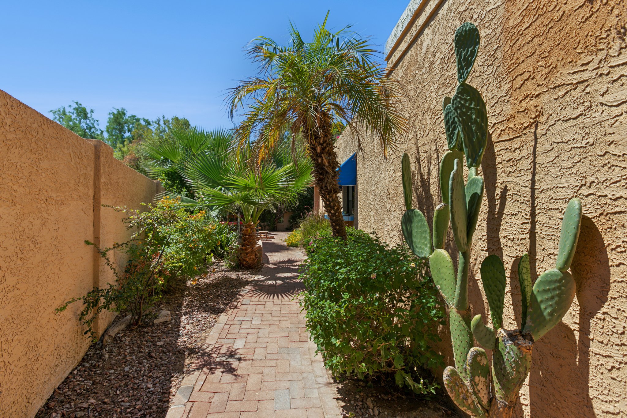 1105 E Tapatio Dr, Phoenix, AZ 85020 - 043.jpg