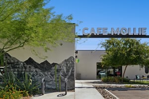 1105 E Tapatio Dr, Phoenix, AZ 85020 - 053.jpg