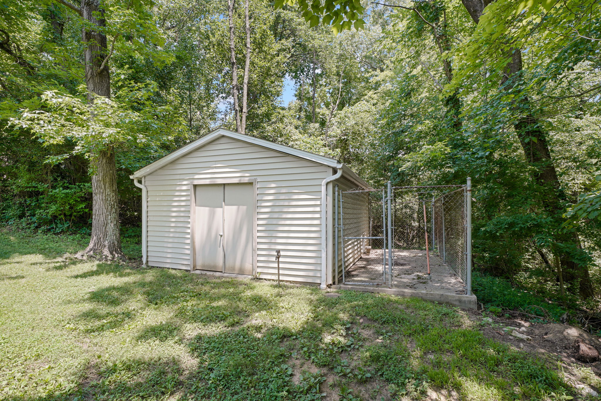 Shed & Dog Kennel