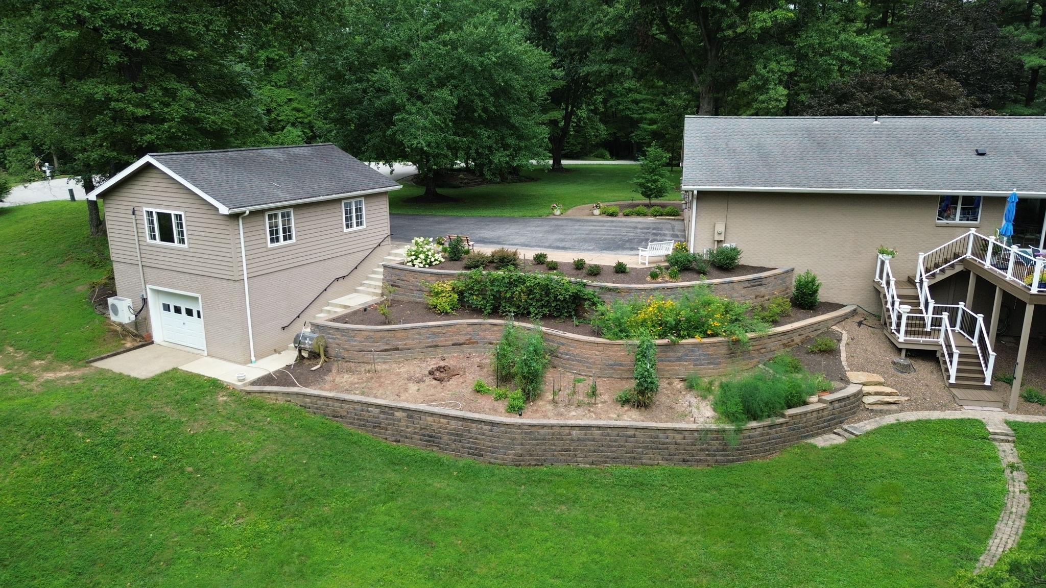 New Terracing (2024) with Established Berries, Asparagus, & Flowers