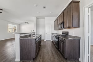 Patriot Ct-S0712-005.jpg