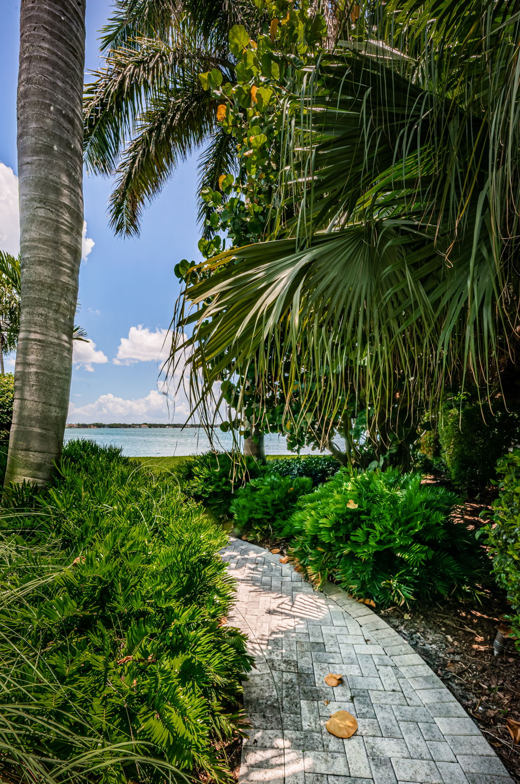 Backyard Walkway1