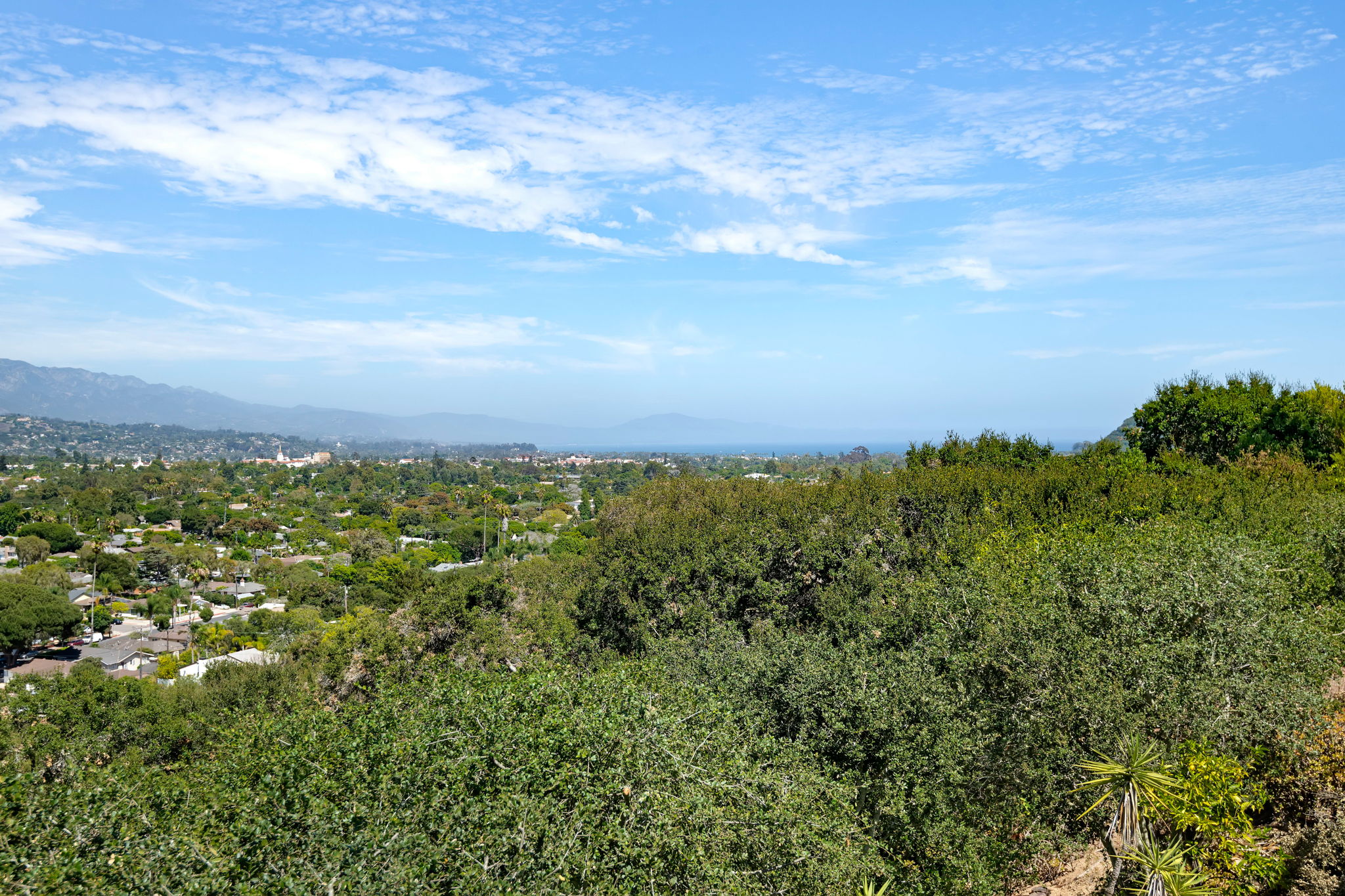 24-Deck Views