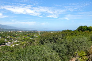 24-Deck Views
