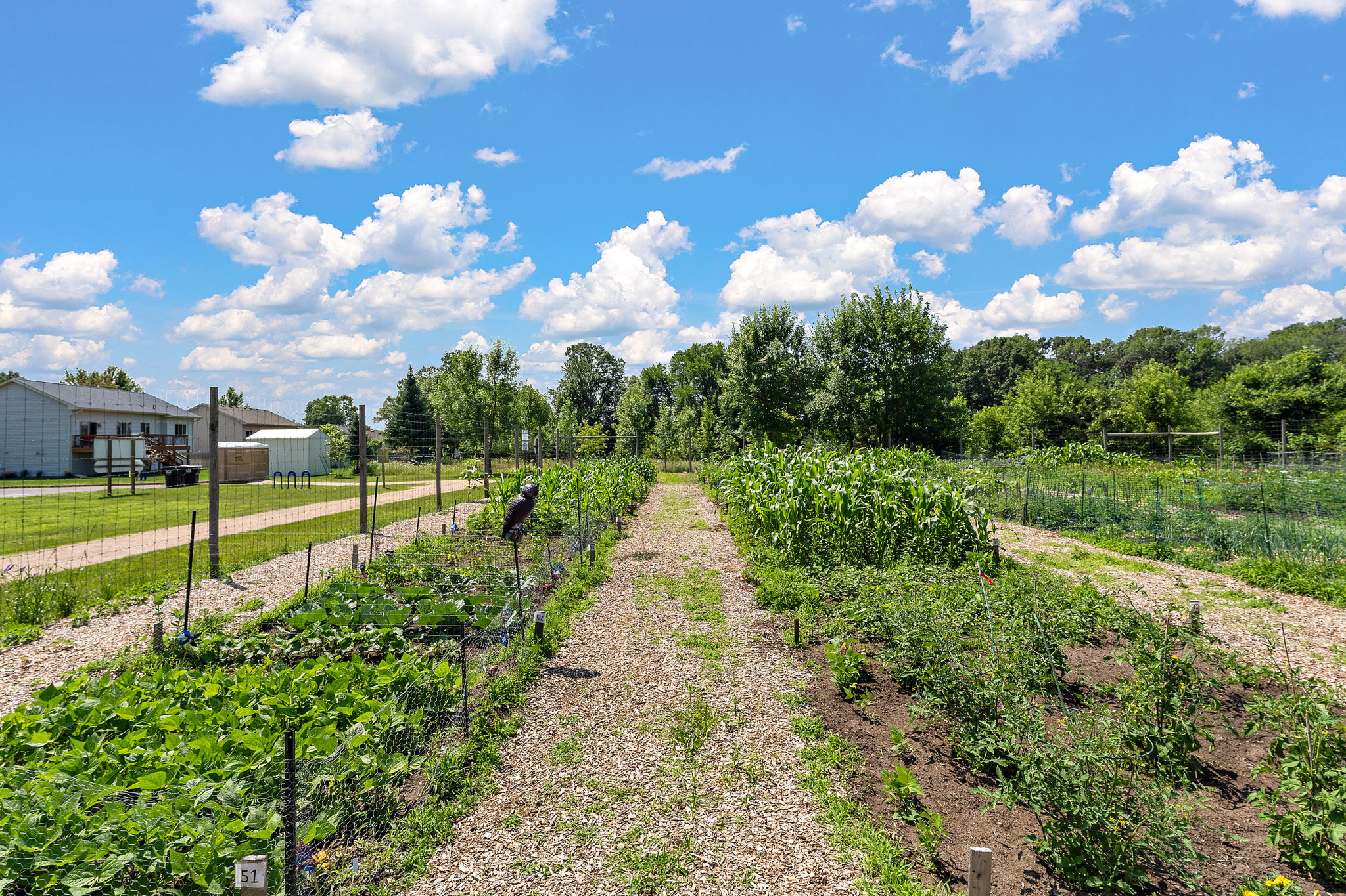 UAV Vision Media (44)