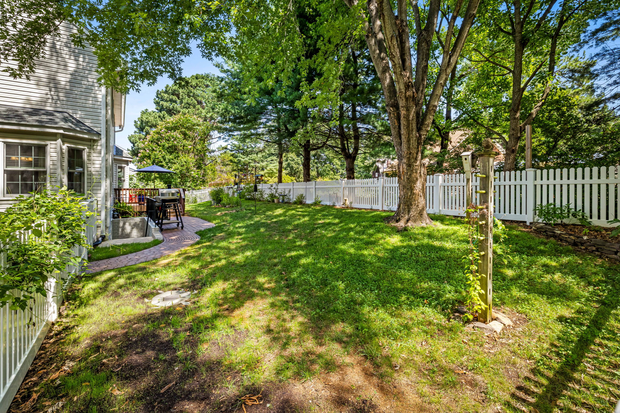 Rear Yard
