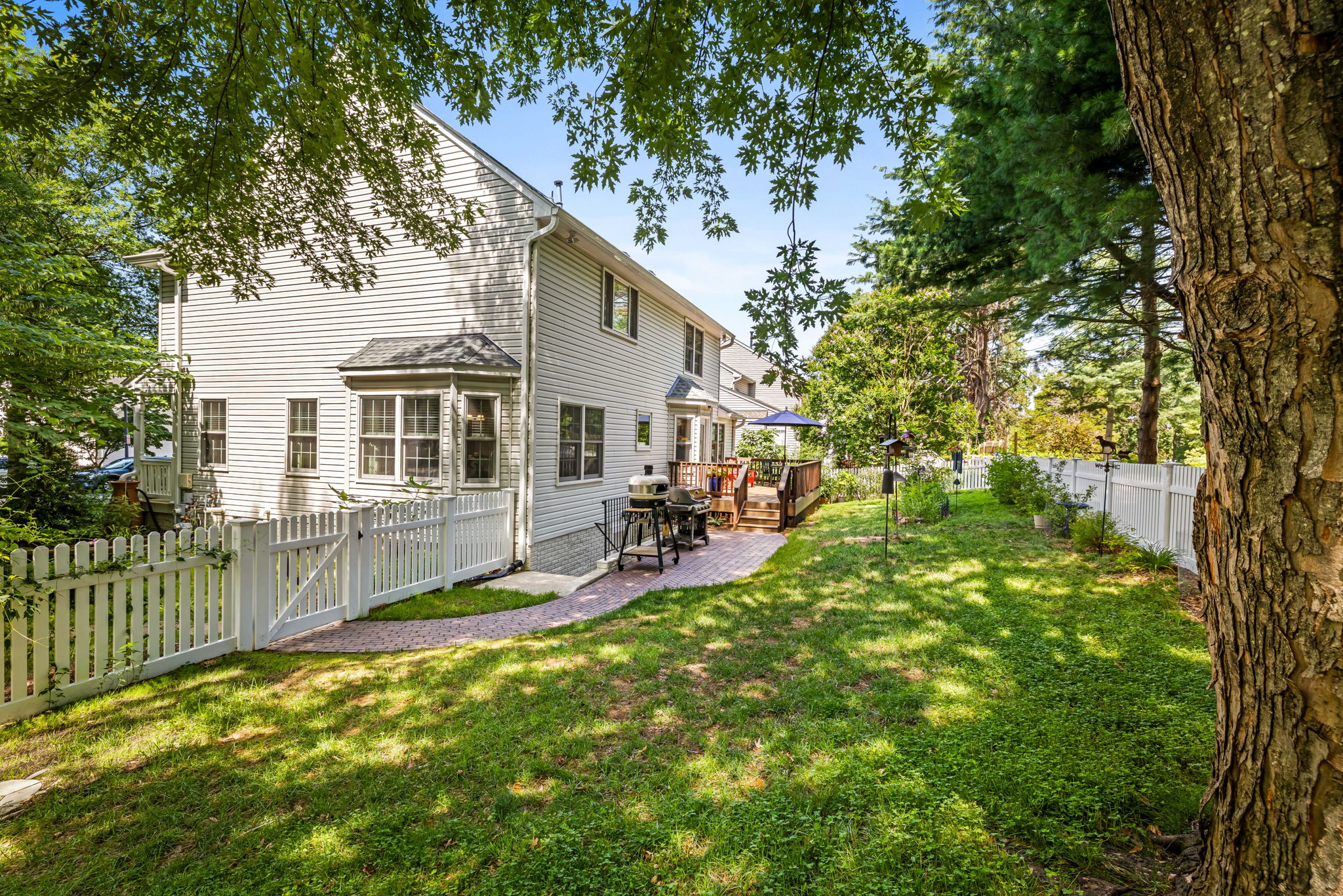 Rear Yard