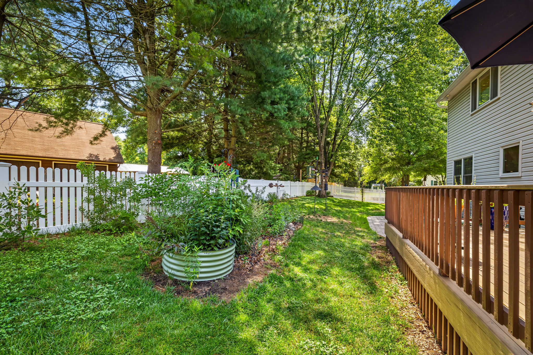 Rear Yard