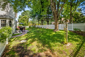 Rear Yard
