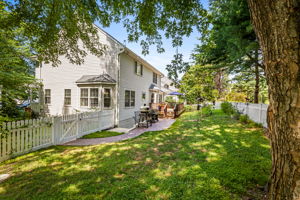 Rear Yard