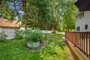 Rear Yard