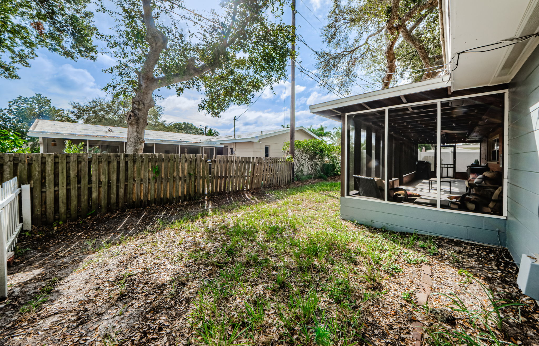 Backyard 3-2