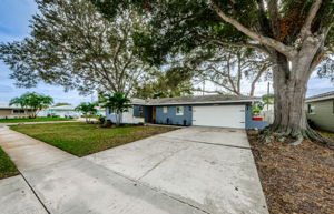Driveway 1