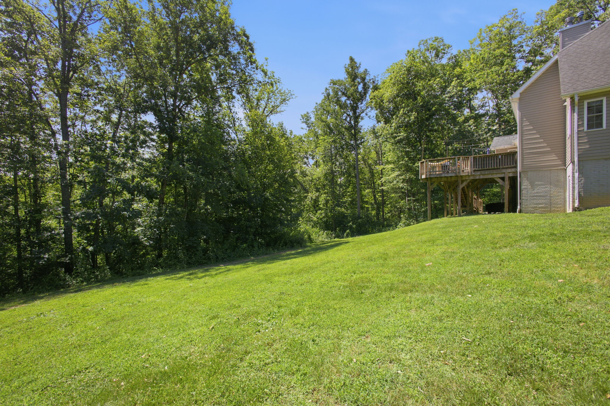 Side yard