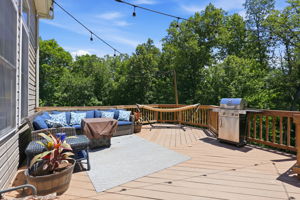 Large Trex Topped Deck