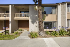  Photo 0