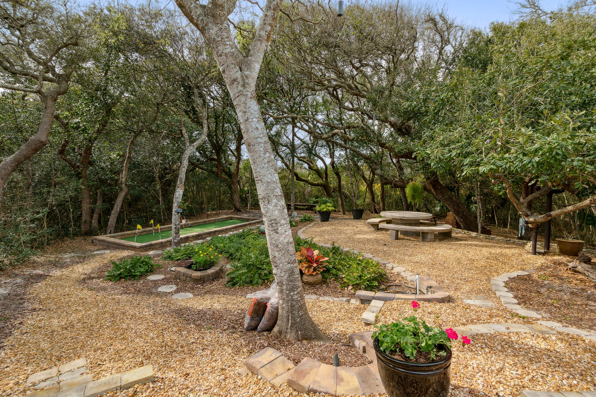 Backyard