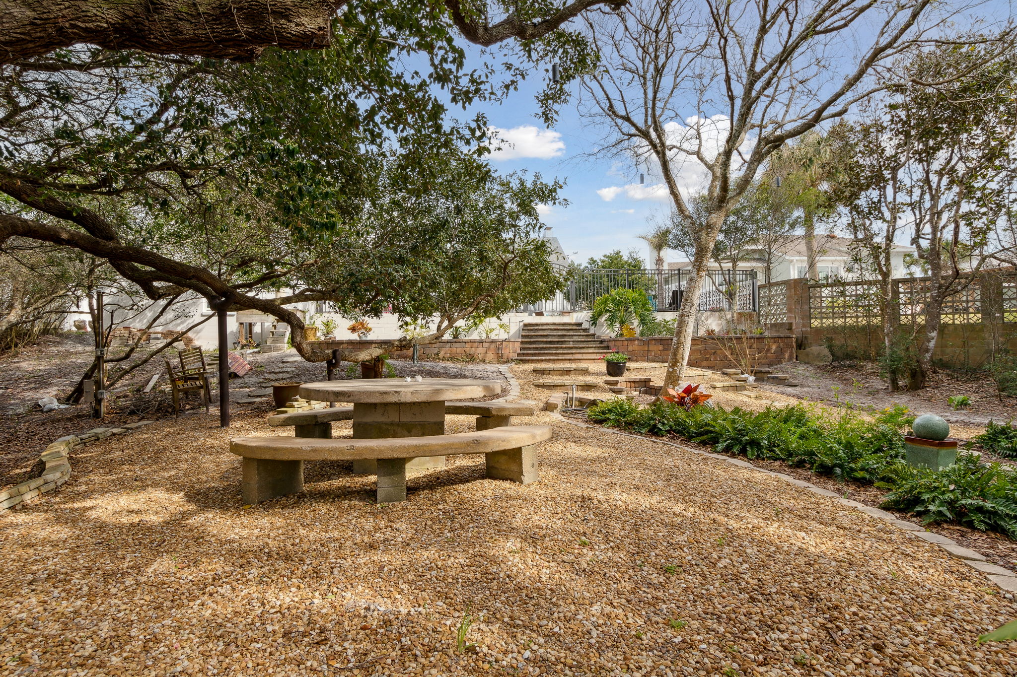 Backyard