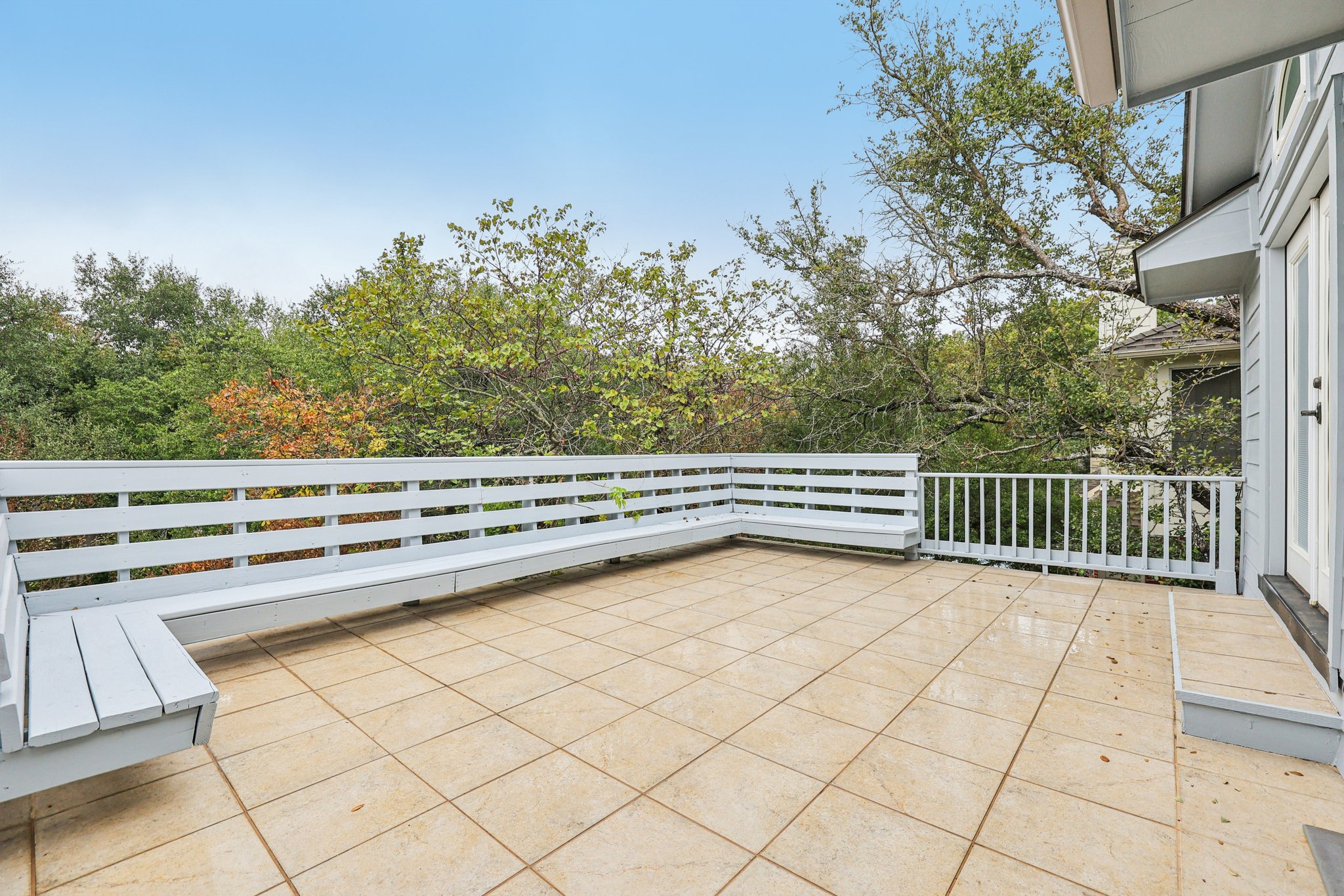 Dalea Blf-S0212-051.jpg