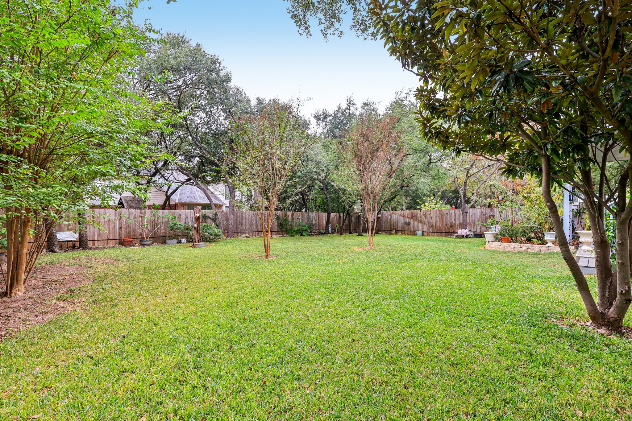 Dalea Blf-S0212-055.jpg