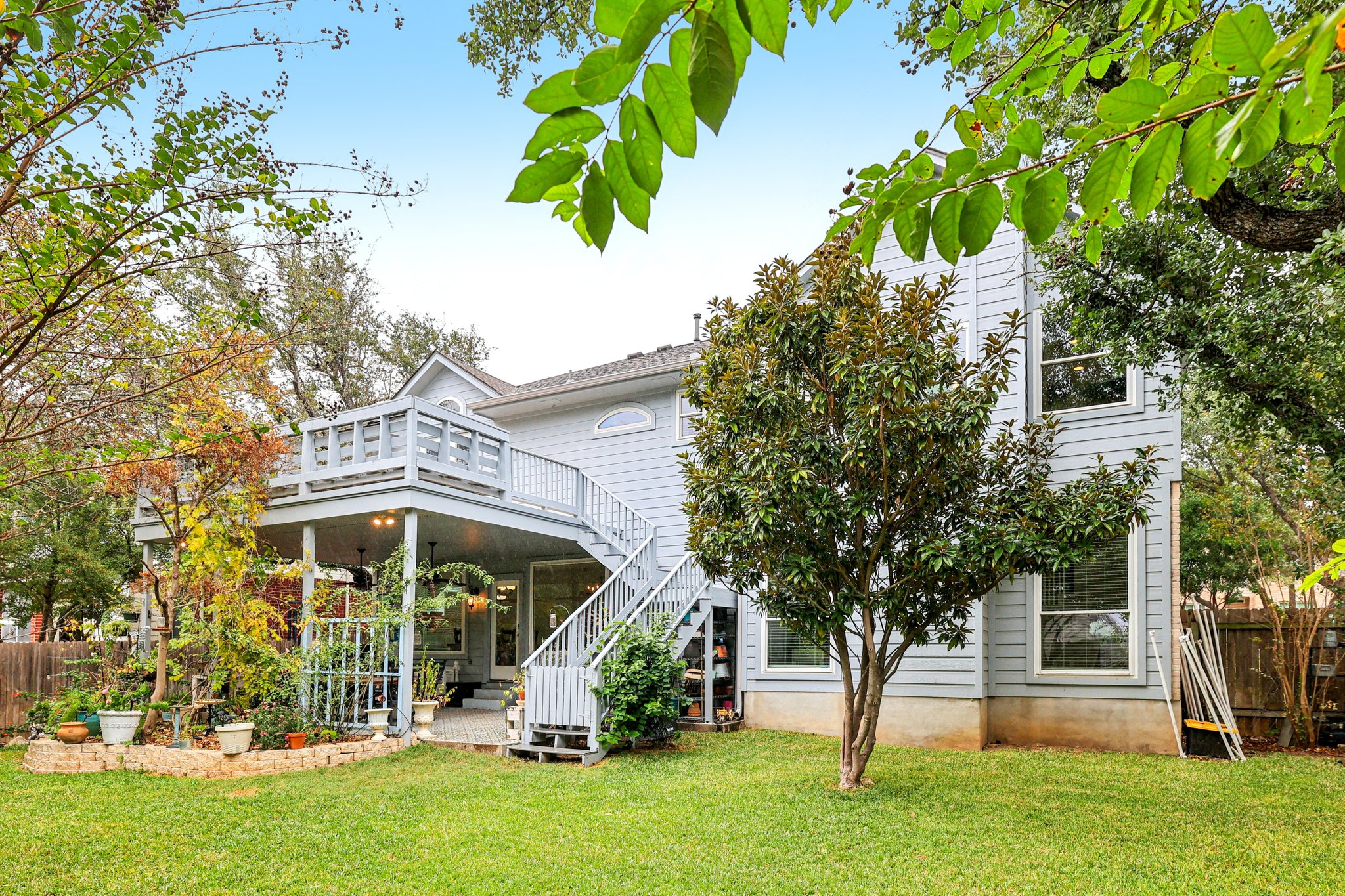 Dalea Blf-S0212-056.jpg