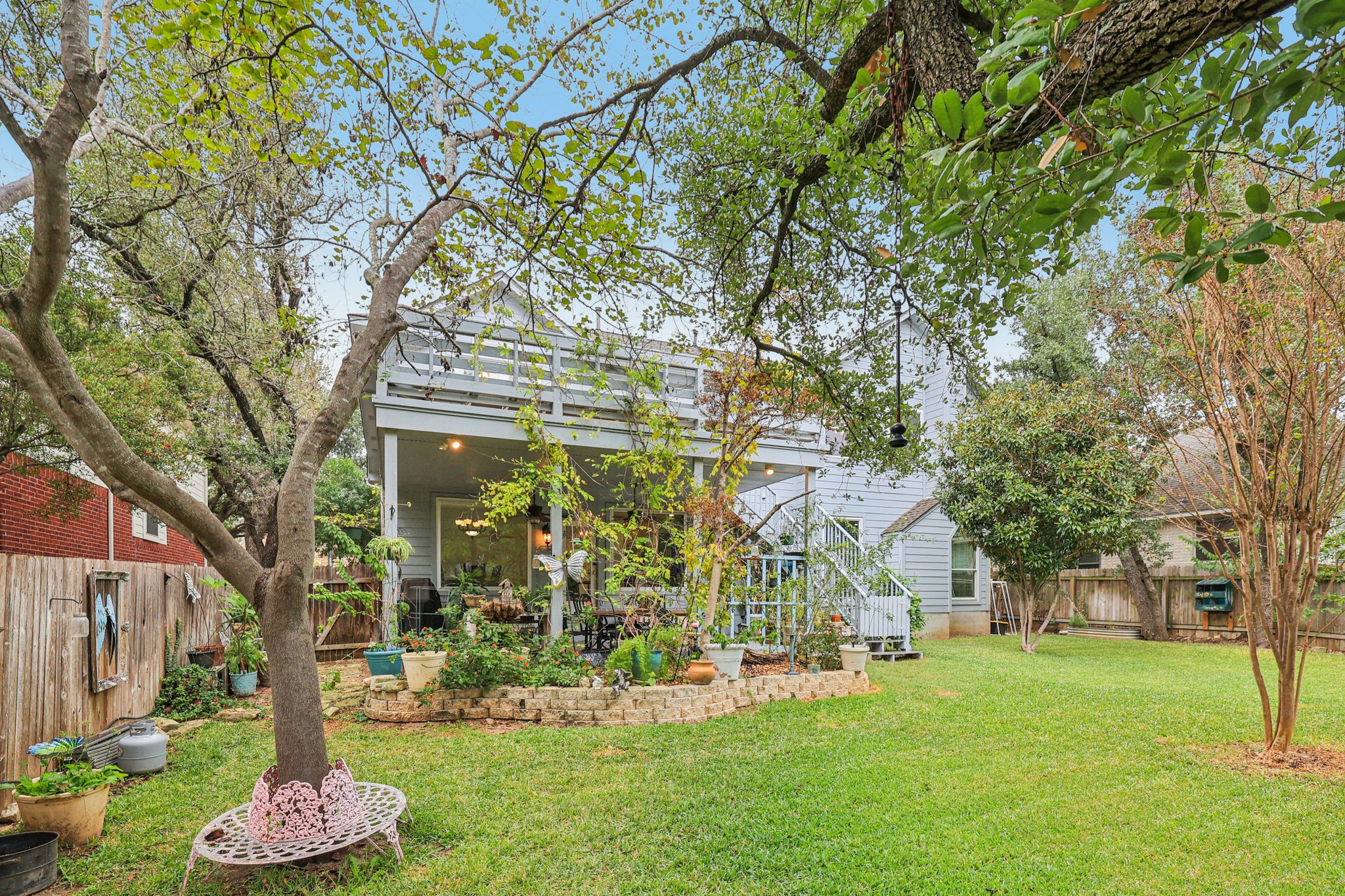 Dalea Blf-S0212-058.jpg