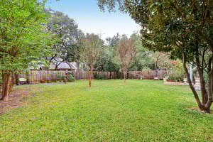 Dalea Blf-S0212-055.jpg