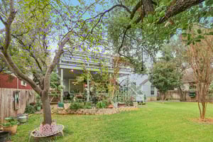 Dalea Blf-S0212-058.jpg