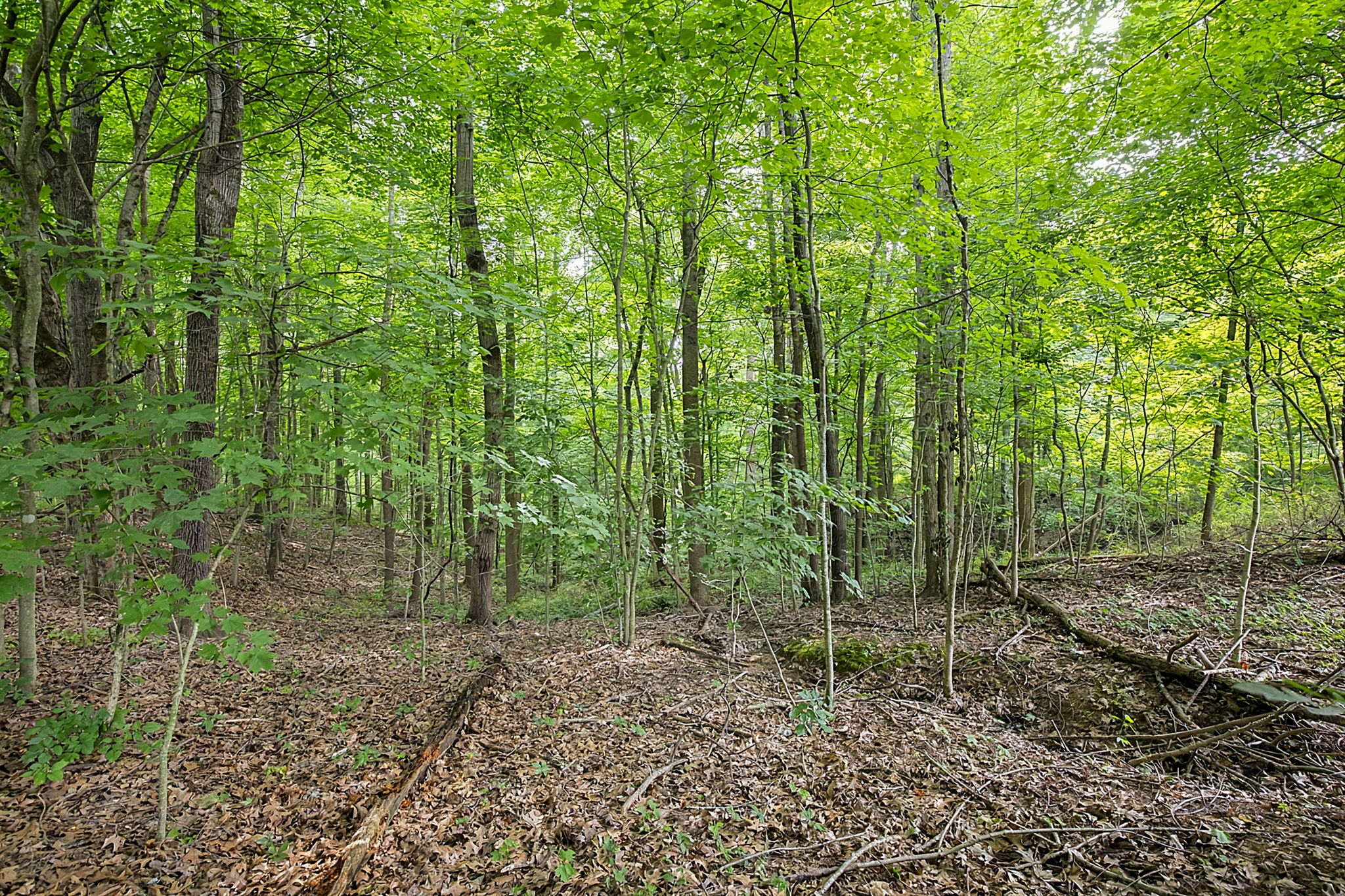  Photo 58