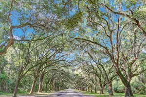 Forsyth Park