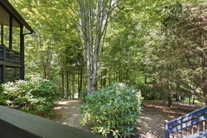  Photo 35