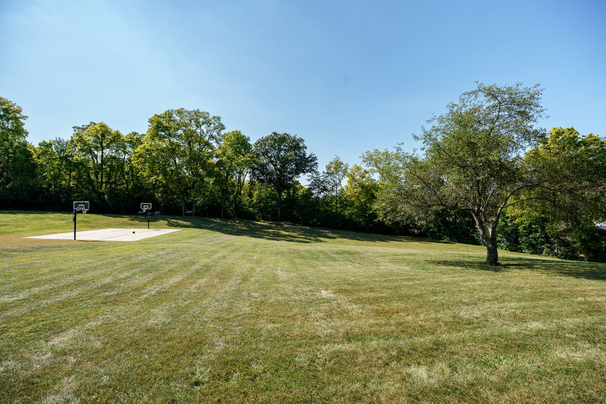  Photo 47