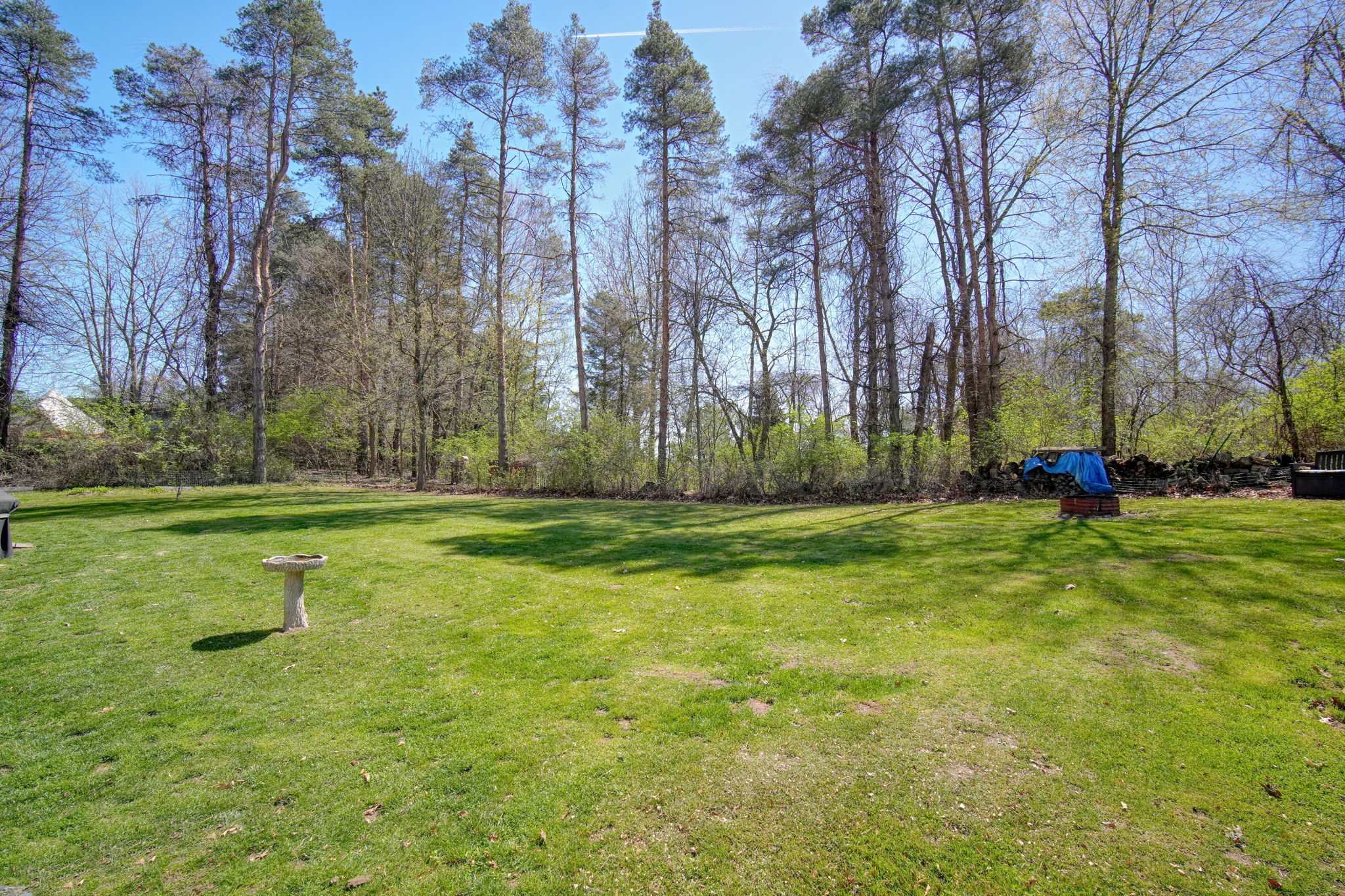  Photo 40