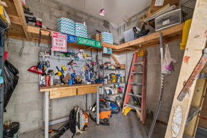 DSC_6081