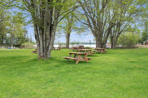 Common Waterfront Area