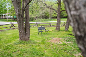Side Yard