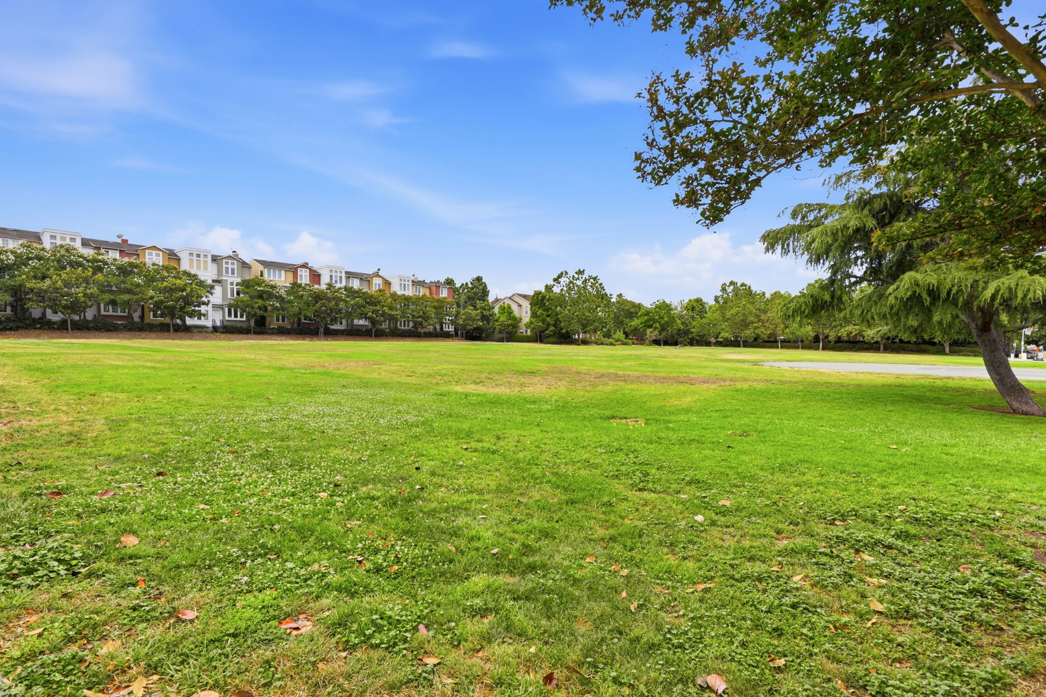 037_F8_111 Cahill Park Dr