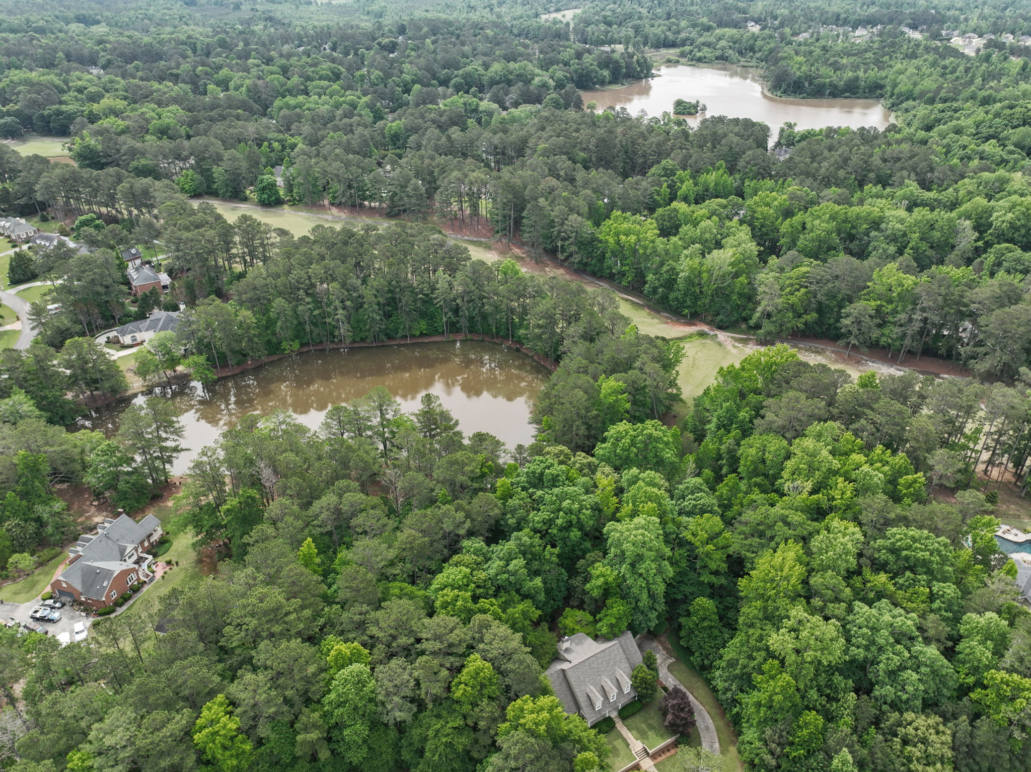  Photo 65