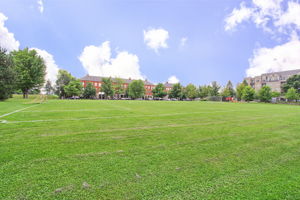  Photo 37