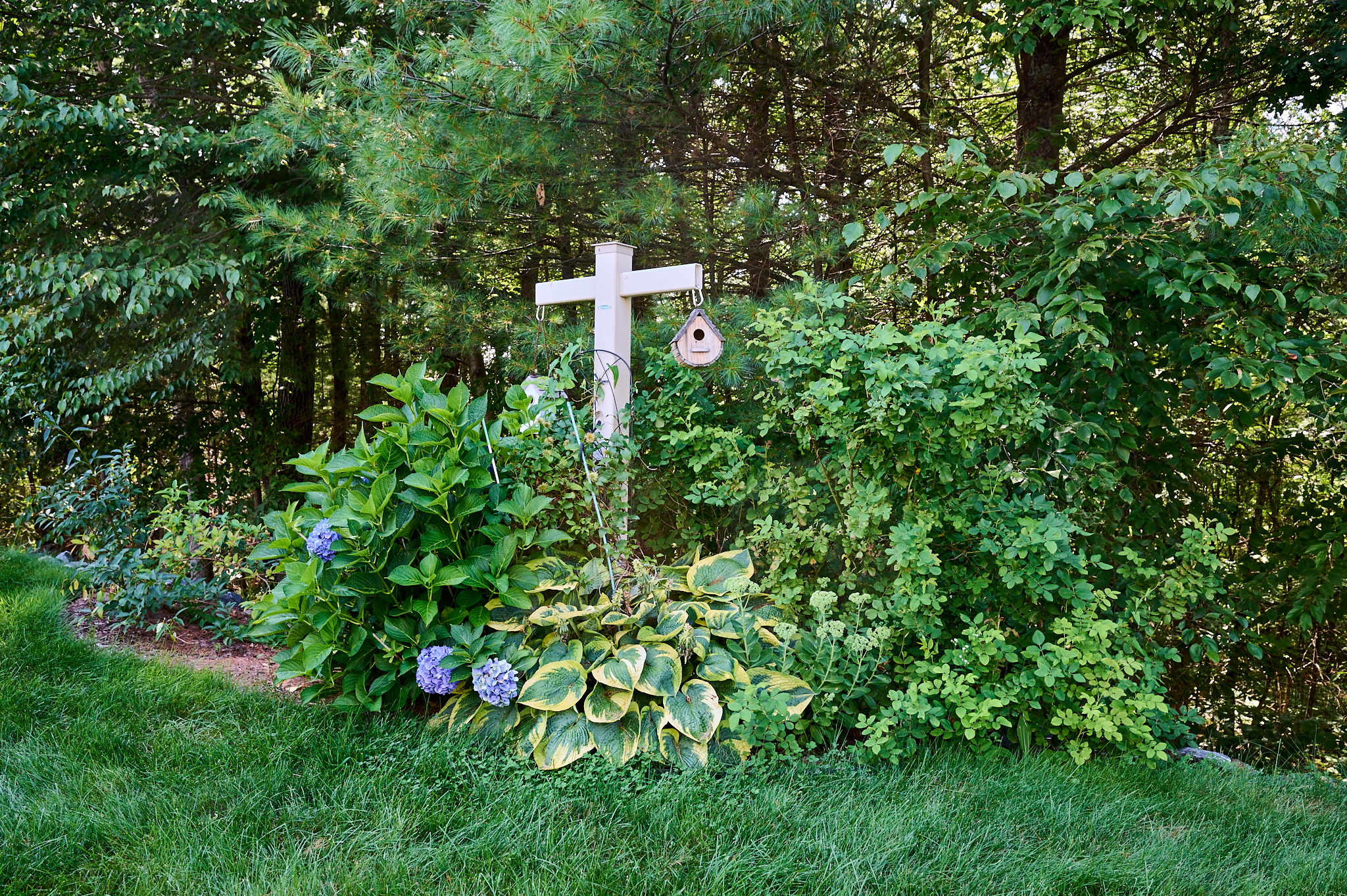  Photo 28