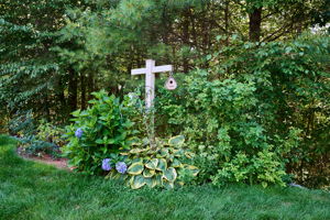  Photo 27