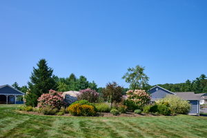  Photo 30
