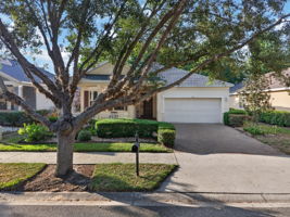  Photo 0