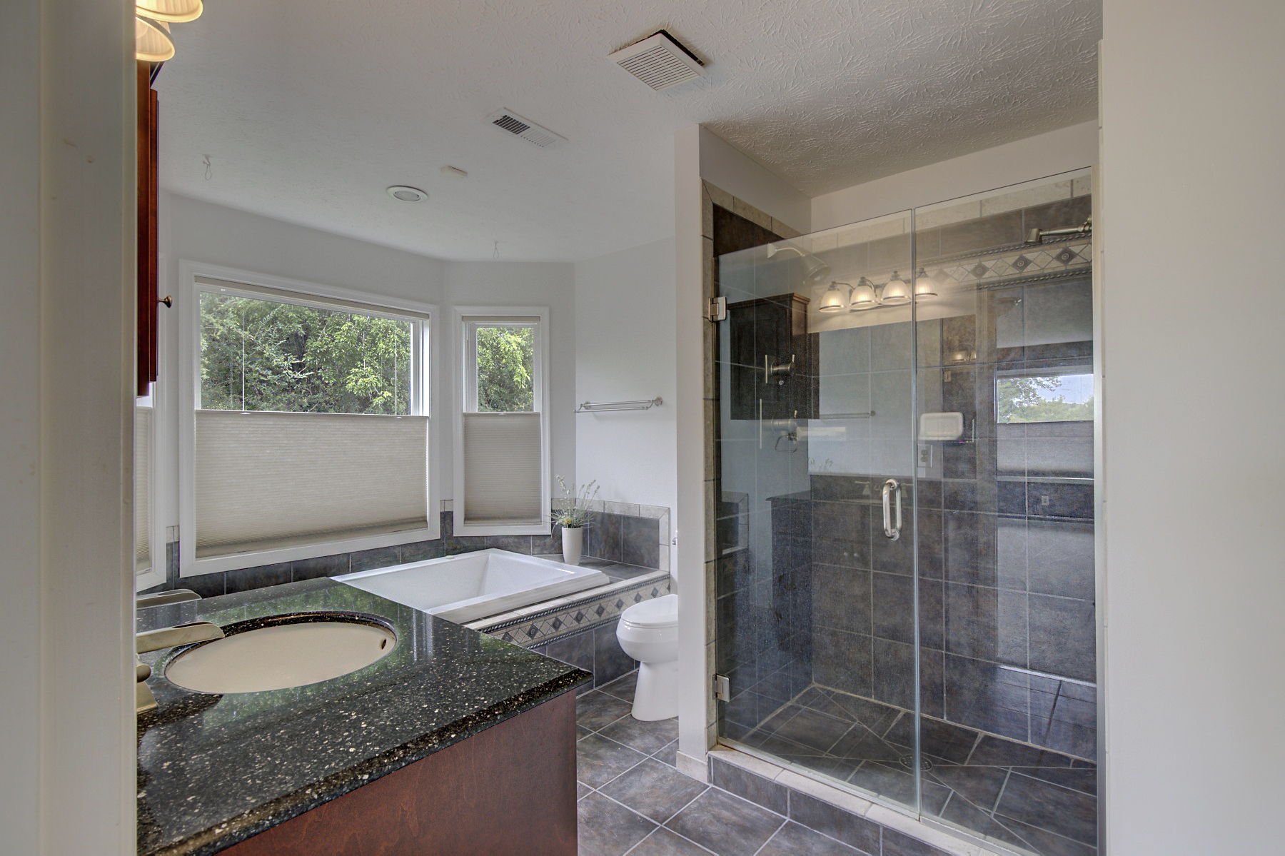 Jetted Tub. Granite Countertop.