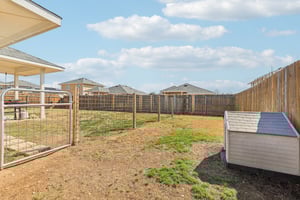 Insider Loop-S1202-033.jpg